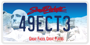 49ECT3  license plate in SD