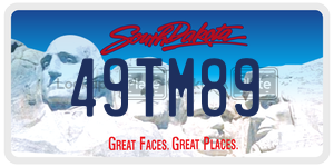 49TM89  license plate in SD