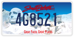 4G8521  license plate in SD