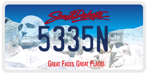 5335N  license plate in SD