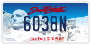 6038N  license plate in SD