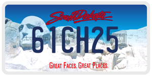 61CH25  license plate in SD