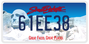 61EE38  license plate in SD