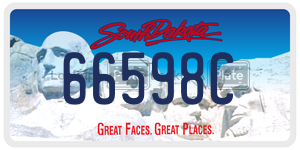 66598C  license plate in SD