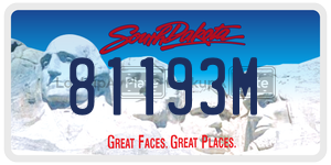 81193M  license plate in SD