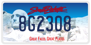 8G2308  license plate in SD