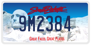 9M2384  license plate in SD