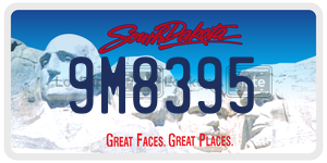 9M8395  license plate in SD