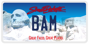 BAM  license plate in SD