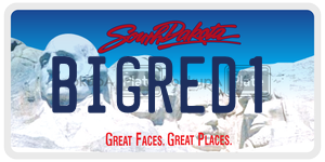 BIGRED1  license plate in SD