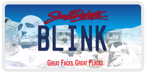BLINK  license plate in SD