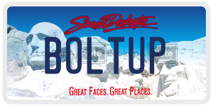 BOLTUP  license plate in SD