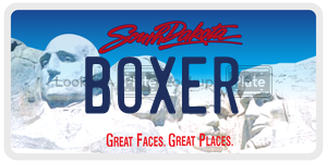 BOXER  license plate in SD