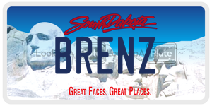BRENZ  license plate in SD