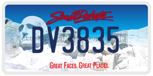DV3835  license plate in SD