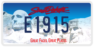 E1915  license plate in SD