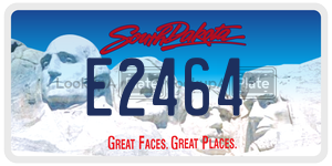 E2464  license plate in SD