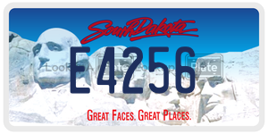 E4256  license plate in SD