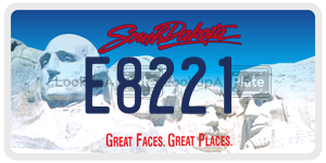 E8221  license plate in SD
