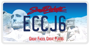 ECCJ6  license plate in SD