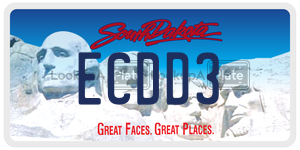 ECDD3  license plate in SD