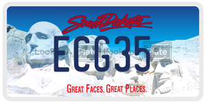 ECG35  license plate in SD