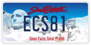 ECS81  license plate in SD
