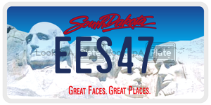 EES47  license plate in SD