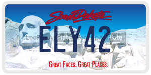 ELY42  license plate in SD