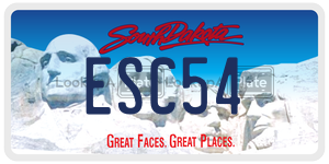 ESC54  license plate in SD