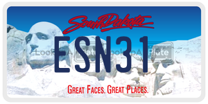ESN31  license plate in SD