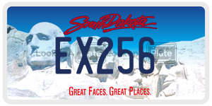 EX256  license plate in SD