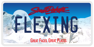 FLEXING  license plate in SD