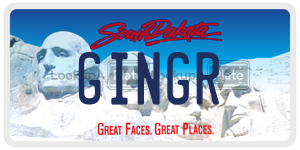 GINGR  license plate in SD