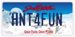 HNT4FUN  license plate in SD