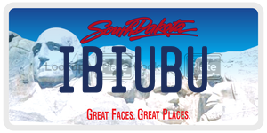 IBIUBU  license plate in SD