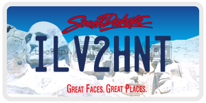 ILV2HNT  license plate in SD