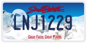 LNJ1229  license plate in SD