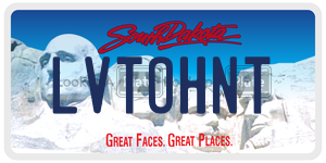 LVTOHNT  license plate in SD