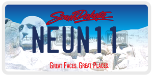 NEUN11  license plate in SD