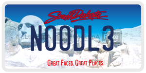 NOODL3  license plate in SD