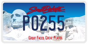 P0255  license plate in SD