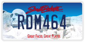 RDM464  license plate in SD