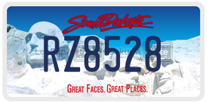 RZ8528  license plate in SD