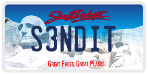 S3NDIT  license plate in SD