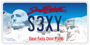 S3XY  license plate in SD