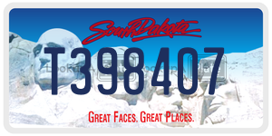 T398407  license plate in SD