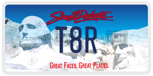 T8R  license plate in SD