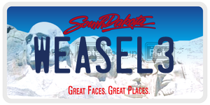 WEASEL3  license plate in SD