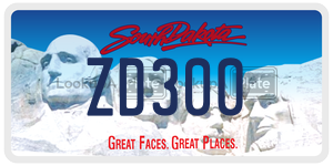 ZD300  license plate in SD